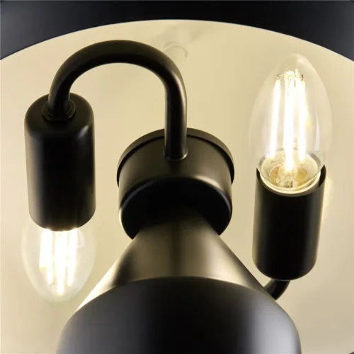 Настольный светильник Freya FR5218TL-02B1 (Черный) - фото 2