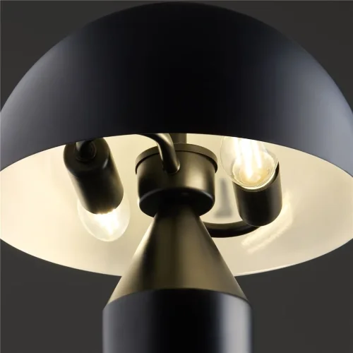 Настольный светильник Freya FR5218TL-02B1 (Черный) - фото 5