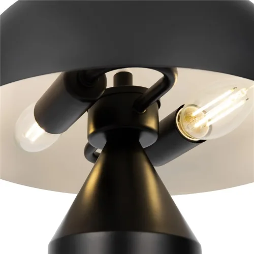 Настольный светильник Элеон / Eleon (Черный) FR5218TL-02B1 - фото 12