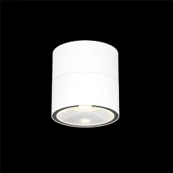 Потолочный светильник Spin 3000К 12Вт IP 54 (Белый)