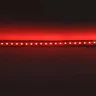 Светодиодная лента Standart class, 3528, 120led/m, Red, 12V, IP20 - фото III