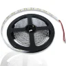 Светодиодная лента Standart PRO class, 2835, 120led/m, red, 12V, IP20, N21 - фото I