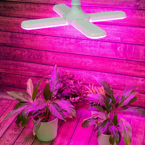 LED-P65-32W-SPSB-E27-FR-P4 PLP32WH Лампа светодиодная для растений, Форма P лепестковая, матовая, Спектр для рассады и цветения - фото 7