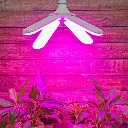 LED-P65-32W-SPSB-E27-FR-P4 PLP32WH Лампа светодиодная для растений, Форма P лепестковая, матовая, Спектр для рассады и цветения - фото 8