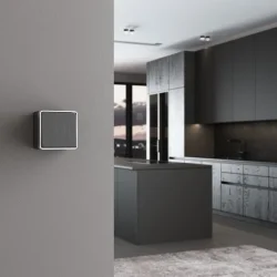 Выключатель одноклавишный Gallant графит рифленый W5010004