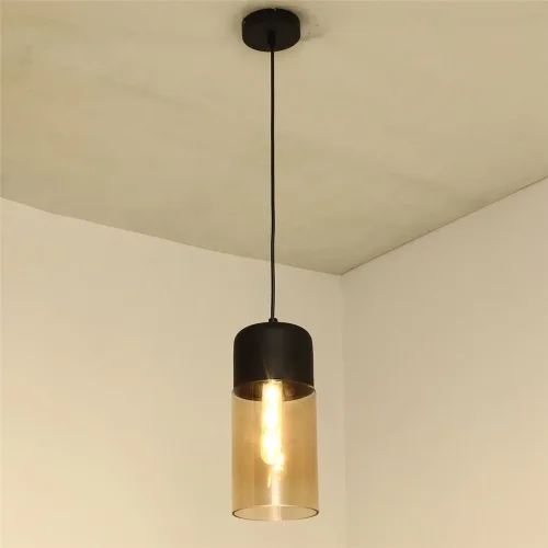 Светильник лофт Y0010001 PA20 (220V, Е27, стекло) - фото III