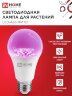 Лампа светодиодная LED-A65 STD-ФИТО красно-синий спектр 25Вт 230В Е27 IN HOME - Фото 2
