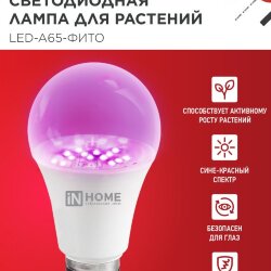 Лампа светодиодная LED-A65 STD-ФИТО красно-синий спектр 25Вт 230В Е27 IN HOME