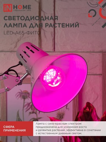 Лампа светодиодная LED-A65 STD-ФИТО красно-синий спектр 25Вт 230В Е27 IN HOME - Фото 6