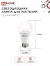 Лампа светодиодная LED-A65 STD-ФИТО красно-синий спектр 25Вт 230В Е27 IN HOME - Фото 2