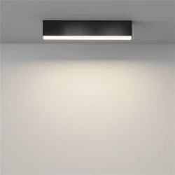 Потолочный светильник Basis 3000K-6000K 20Вт 120° IP 20 (Черный)