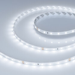 Светодиодная лента RT-А60-8mm 24V Cool 8К (4.8 W/m, IP20, 2835, 5m) (Arlight, Открытый) 016147(2)