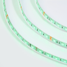 Светодиодная лента WOLTA WLS5050-14,4W/RGB/24S60-01 SMD5050 14,4Вт RGB 24В IP65 60 led/m - фото 2.