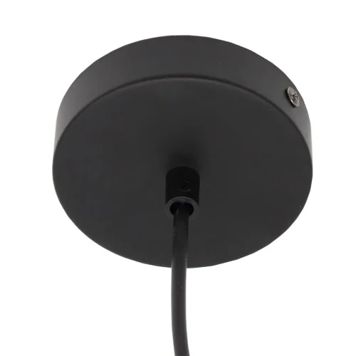 Светильник лофт Y0012001 PA21 (220V, E27, стекло) - фото IV