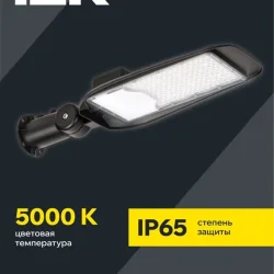 Светильник светодиодный ДКУ 1014-100Ш PRO 5000К IP65 уличный консольный IEK LT-DKU1-1014-100-50-K02