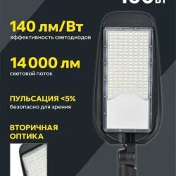 Светильник светодиодный ДКУ 1014-100Ш PRO 5000К IP65 уличный консольный IEK LT-DKU1-1014-100-50-K02