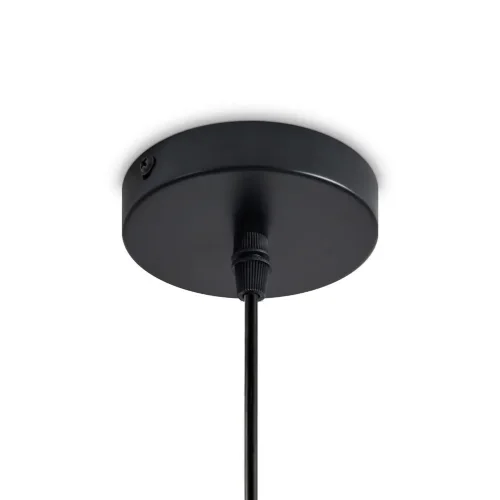 Подвесной светильник Freya FR5551PL-01M1 (Черный) - фото 5