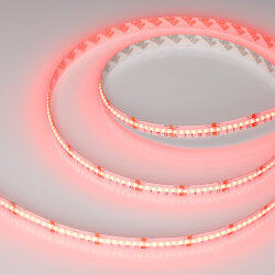 Светодиодная лента CSP-Х840-12mm 24V RGBW-Day (17.2 W/m, IP20, 5m) (Arlight, 5 лет) 046936