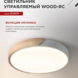 Светильник светодиодный SCANDY WOOD-120RCW 120Вт 230В 3000-6500K 9600Лм 500x50мм с пультом ДУ белый IN HOME