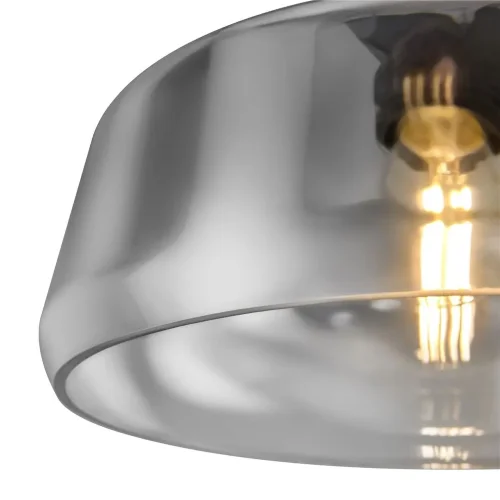 Подвесной светильник Freya FR5188PL-01B (Черный) - фото 4