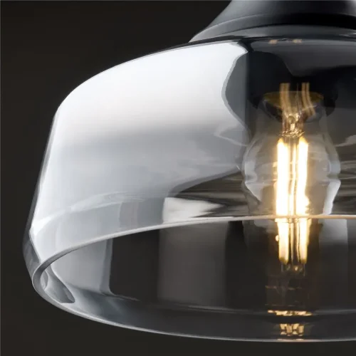 Подвесной светильник Freya FR5188PL-01B (Черный) - фото 8