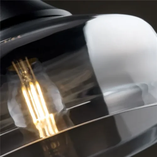 Подвесной светильник Freya FR5188PL-01B (Черный) - фото 9