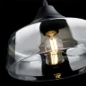 Подвесной светильник Freya FR5188PL-01B (Черный) - фото 10