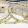 Светодиодная лента Class Premium, 2835, 224 led/m, white, 24V, IP33, RN22 - фото II
