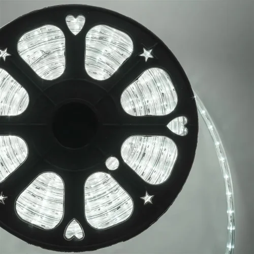 Светодиодный Дюралайт Ø13 мм Дневной 220В, 36 LED/м, Свечение 360°, IP65, Бухта 100м. Фото 2.