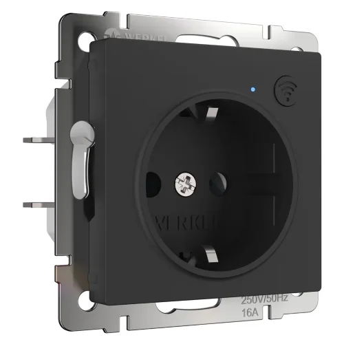 Умная встраиваемая розетка с заземлением с защитными шторками (черный матовый) W1171608 - фото