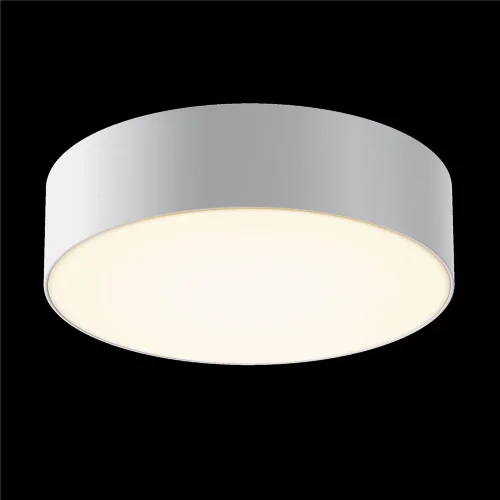 Потолочный светильник Зон / Zon IP 3000K 30Вт IP 65 (Белый) O431CL-L30W3K - фото 4