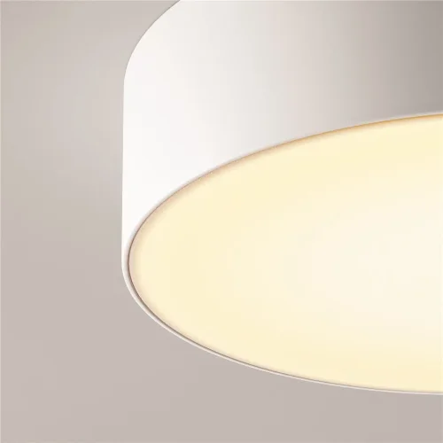Потолочный светильник Зон / Zon IP 3000K 30Вт IP 65 (Белый) O431CL-L30W3K - фото 5
