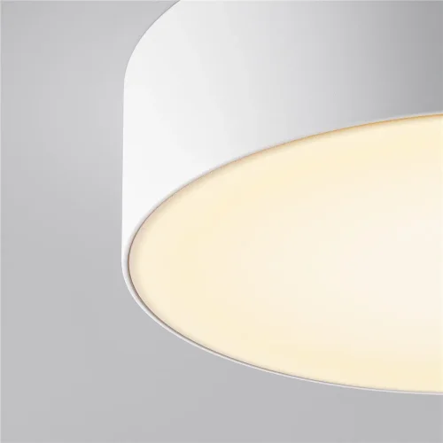 Потолочный светильник Зон / Zon IP 3000K 30Вт IP 65 (Белый) O431CL-L30W3K - фото 10