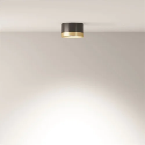 Потолочный светильник Hoop GX53 12Вт (Черный с Золотом) - фото 3