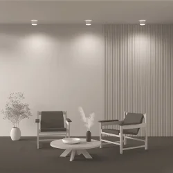 Потолочный светильник Planet 4000K 1x16Вт 90° (Белый)