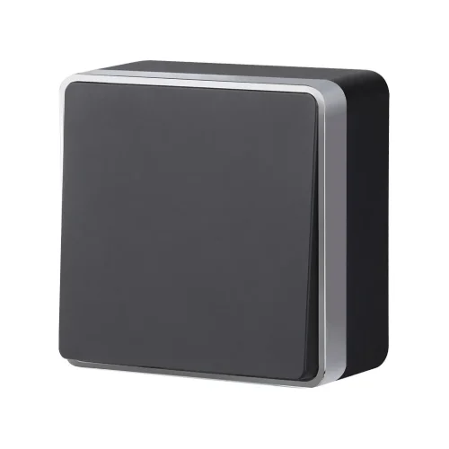 Выключатель одноклавишный проходной Gallant черный с серебром W5012034 - фото