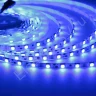 Светодиодная лента LUX class , 5050, 60 led/m, RGB, 12V, IP20, P6, A49 - фото 3.