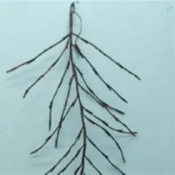 Гирлянда светодиодная Led Deco Light BBL