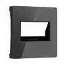 Накладка для двойной розетки Еthernet RJ-45 (черный акрил) W1191148 - фото