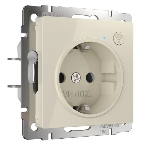 Умная встраиваемая розетка с заземлением с защитными шторками (слоновая кость) W1171603 - фото