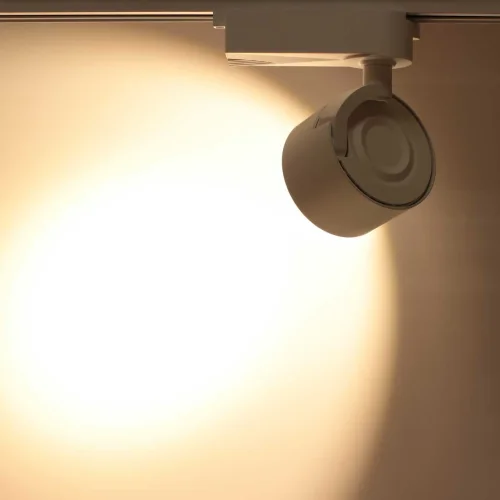 Светодиодный светильник трековый JH-GDD-Z80 2L PX76 (20W, 220V, Warm White) - фото II