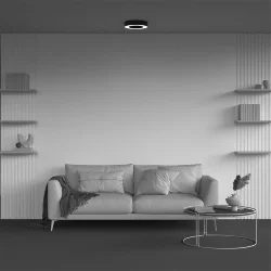 Потолочный светильники Lua 3000К 24Вт 120° (Черный)