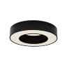 Потолочный светильники Lua 3000К 24Вт 120° (Черный) - фото