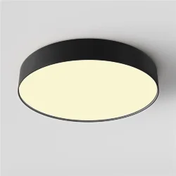 Потолочный светильник Зон / Zon 45 Вт 2700 К 120° (Черный) C032CL-45W2.7K-RD-B