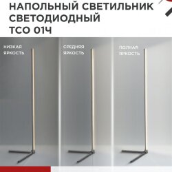 Светильник напольный светодиодный ТСО 01Ч 12Вт RGB, с пультом ДУ, с адаптером ЧЕРНЫЙ IN HOME