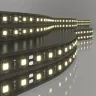 Светодиодная лента 24 В 14,4 Вт/м 60 Led/м 5050 IP20, тёплый белый 3300K, Black, 5 м Лента светодиодная 24V 14,4W 60Led 5050 IP20 тёплый белый, Black, 5м - фото