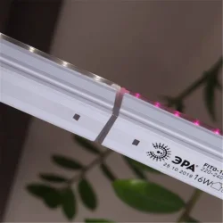 Светильник светодиодный для растений FITO-14W-Т5-N 14Вт 220-240В линейный для периода вегетации фиолет. свечение ЭРА Б0045232