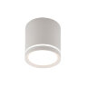 DK4013-WH Светильник накладной IP 20, 5 Вт, LED 4000, белый, алюминий/акрил.