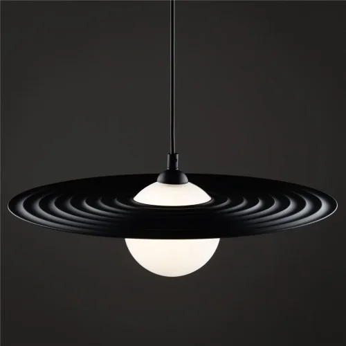 Подвесной светильник Freya FR5390PL-01B (Черный) - фото 3