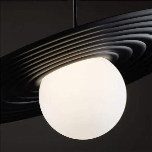 Подвесной светильник Freya FR5390PL-01B (Черный) - фото 4